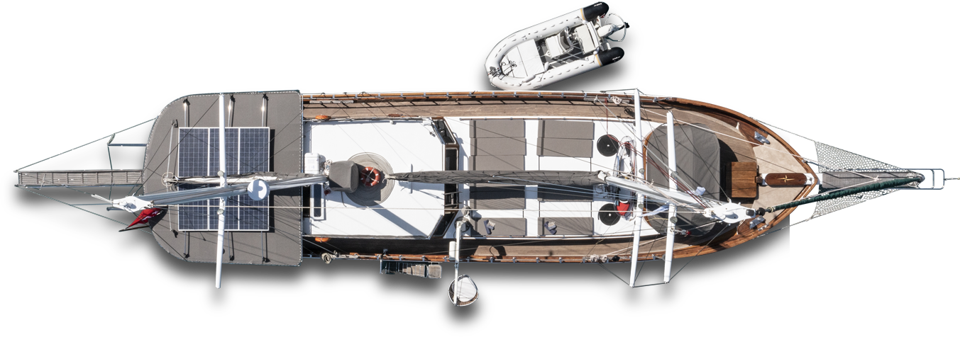 mola yachtcharter rostock